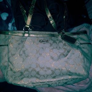 Large coach purse